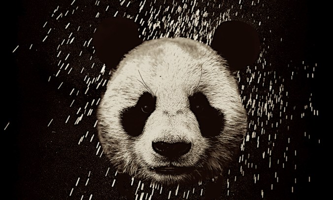 panda