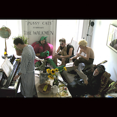 walkmen_cats